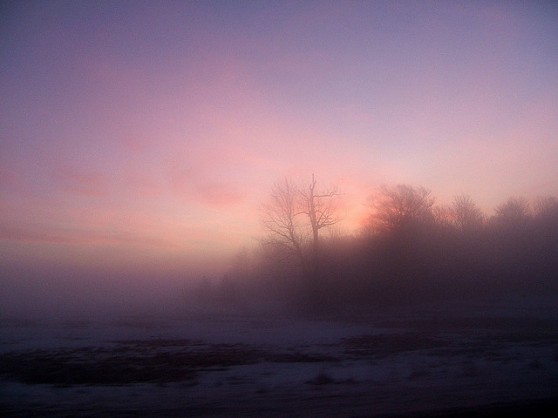 ice fog sunrise