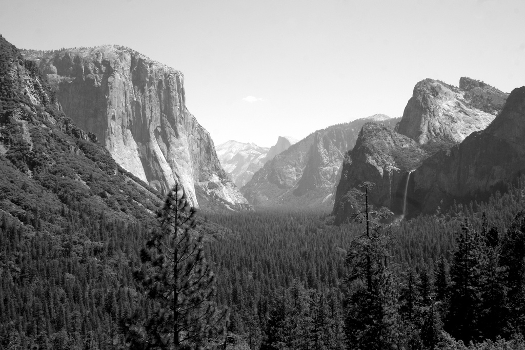 wandering Yosemite in May